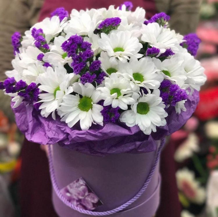 Северное сияние от 12 900 руб.